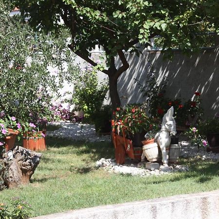 Family Apartment Mirela Borik Zadar Exteriör bild